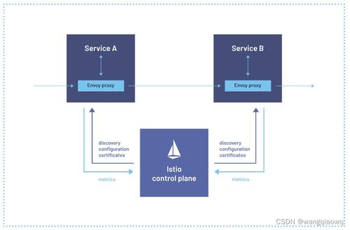Istio學(xué)習(xí)筆記 服務(wù)網(wǎng)格在信息系統(tǒng)運(yùn)行維護(hù)服務(wù)中的應(yīng)用與實(shí)踐