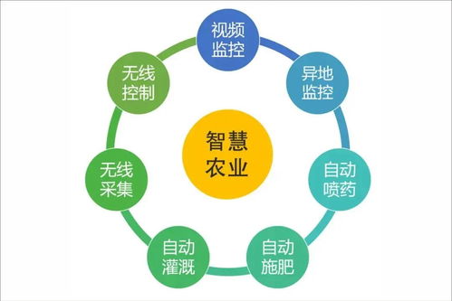 浙江新田鋪智慧農(nóng)業(yè)蔬果工廠正式投產(chǎn) 信息系統(tǒng)運(yùn)行維護(hù)服務(wù)開啟現(xiàn)代農(nóng)業(yè)新篇章